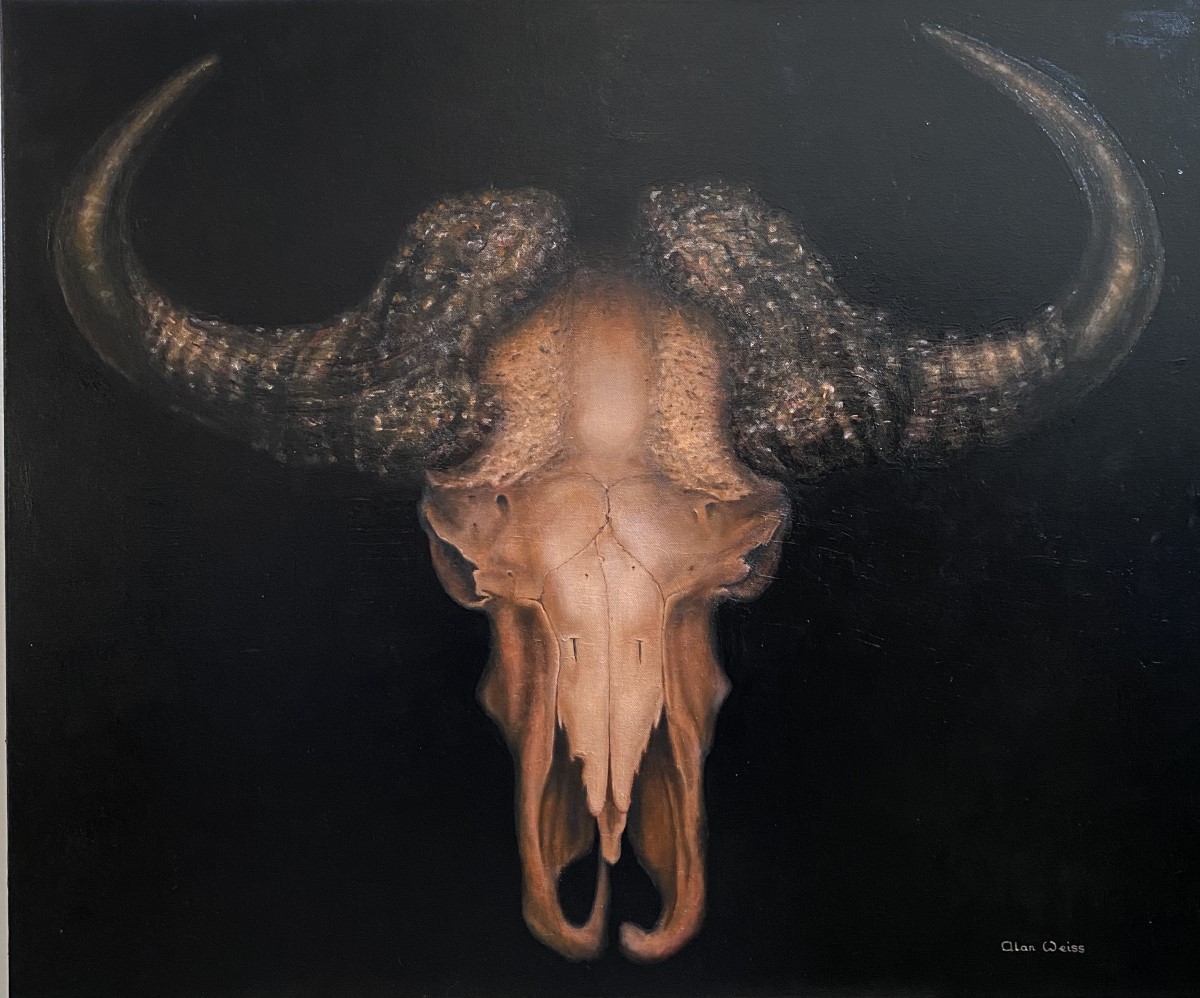 Buffalo Skull (1200 x 998)